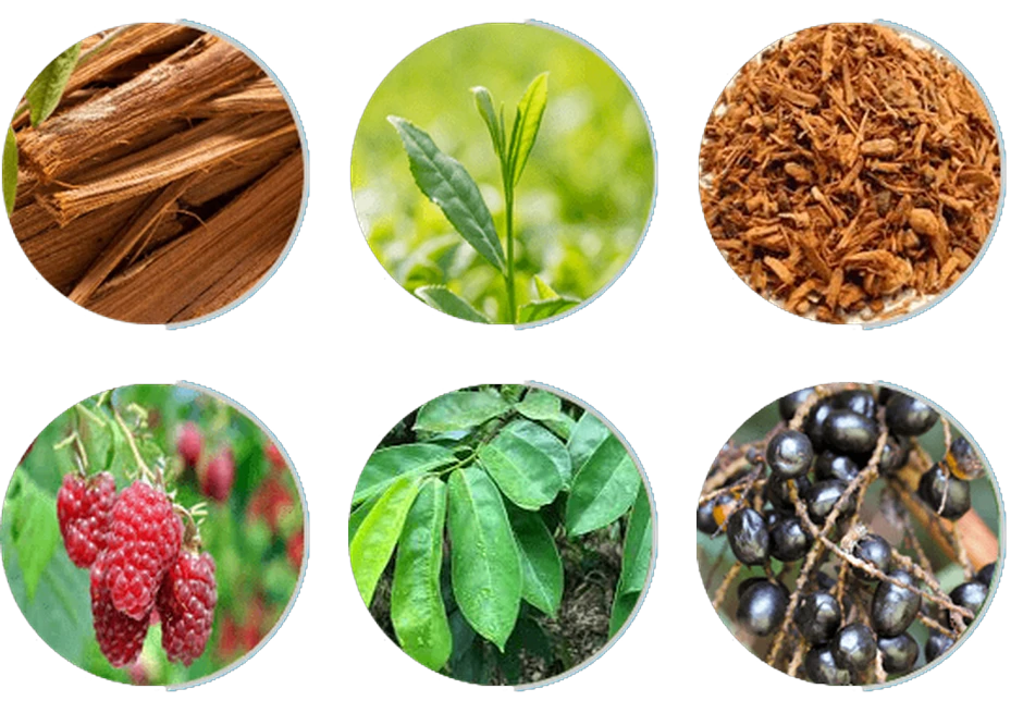Prosta Peak ingredients